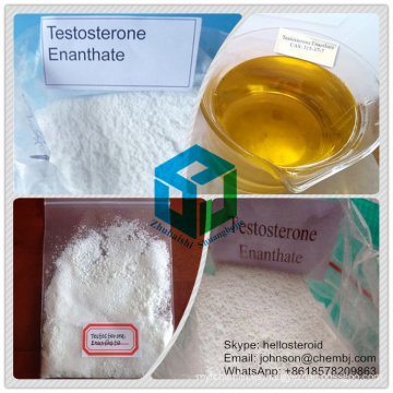 Testosterona en polvo esteroide anabólica Enanthate 315-37-7 para el músculo que gana